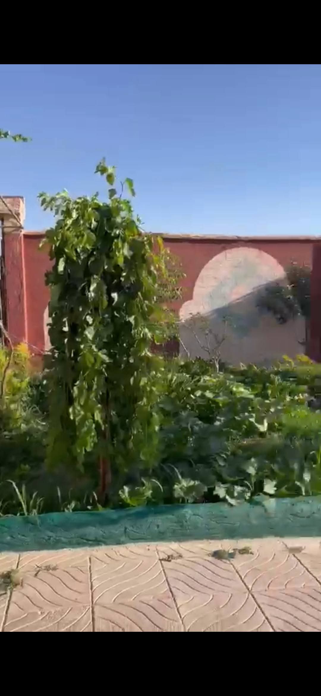 مزرعة للبيع -المليحة - 2