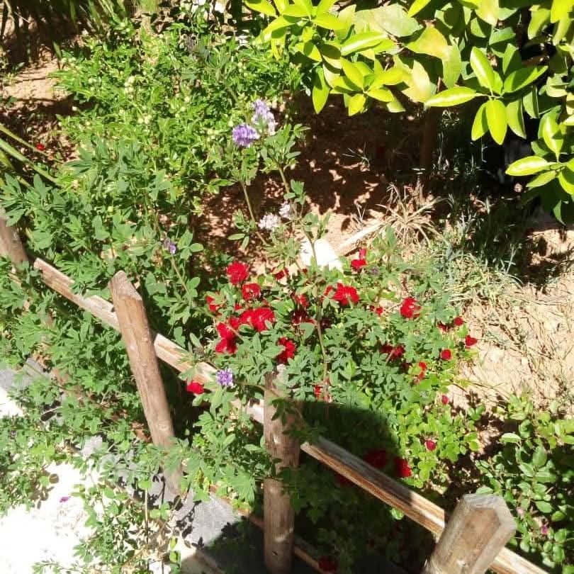 مزرعة للبيع -جديدة الوادي - 3