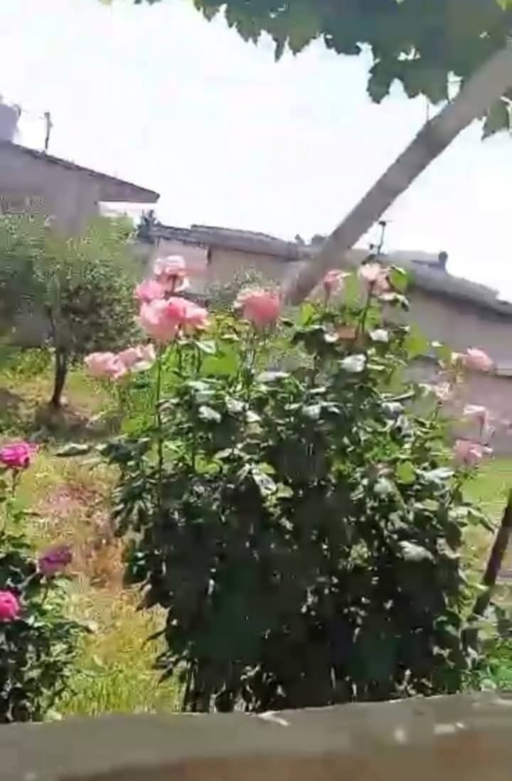 مزرعة للبيع -ريف حمص خربة التين - 4