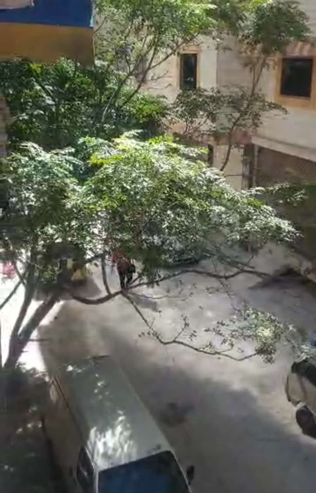 شقة للبيع -سيدي مقداد - 3