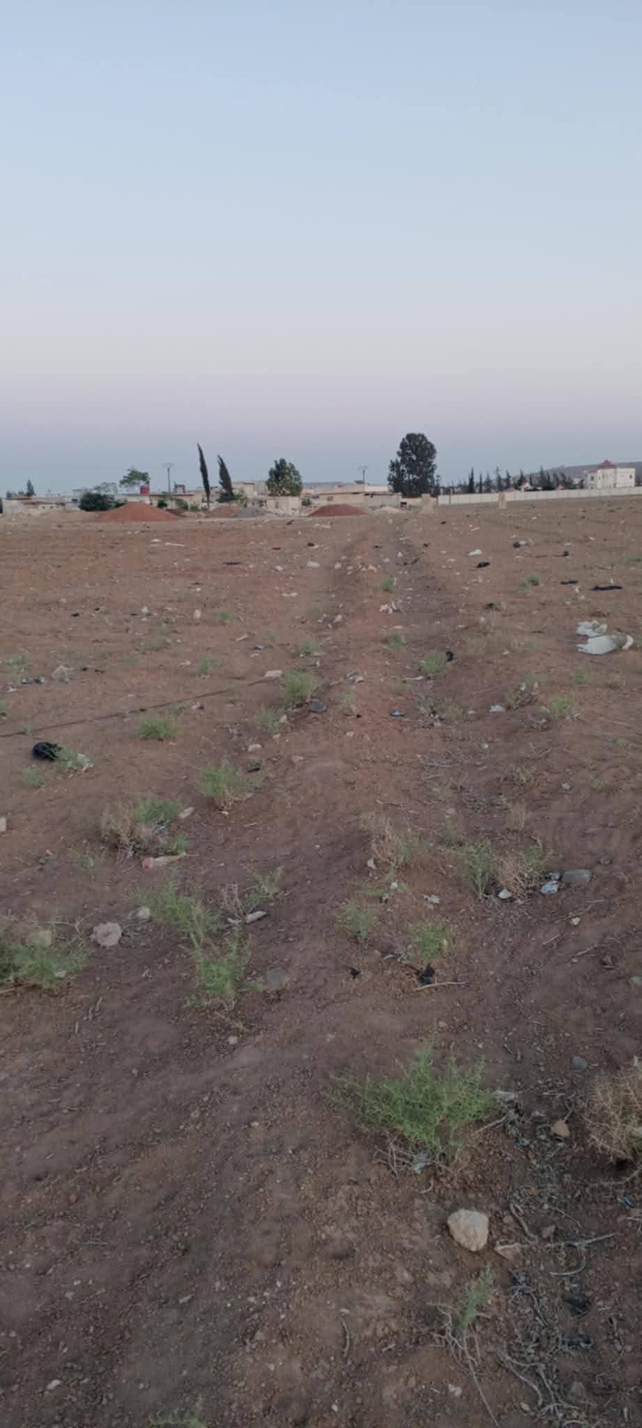 ارض للبيع -العادلية - 4